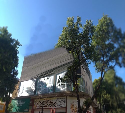 SALÃO NOVO – JARDIM PEROLA