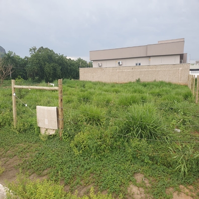 LOTE  – UNIVALE